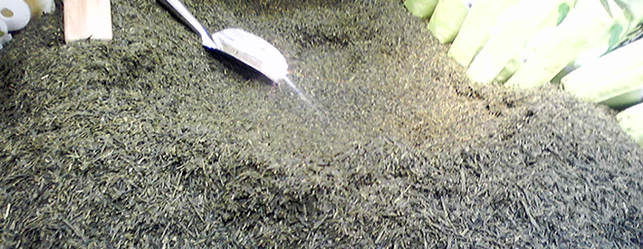 �ʐ^�F�R����ɂ���̔�����Ă��邨��