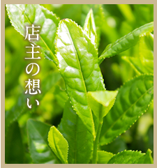 �X��̑z��
