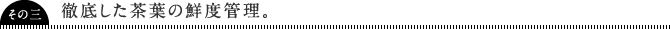 徹底した茶葉の鮮度管理。