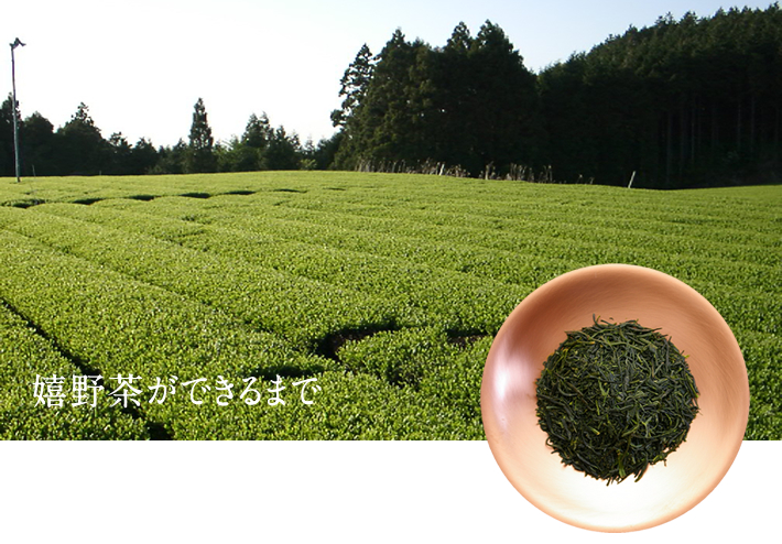 ��쒃���ł���܂�