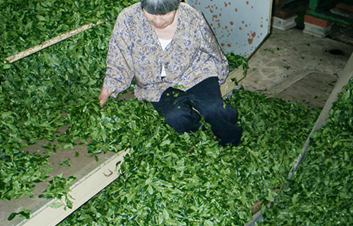 �ʐ^�F�����̈ڂ��ւ�