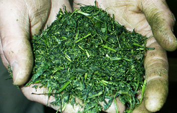 �ʐ^�F�e���@��ʉ߂������t