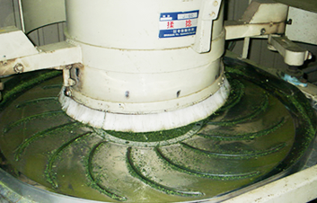 �ʐ^�F���P