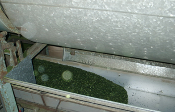 �ʐ^�F�d��Ċ�