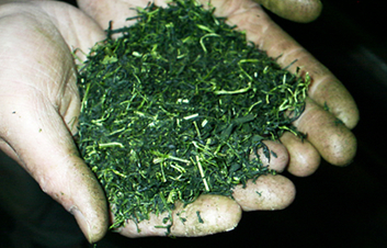 �ʐ^�F�d�㊣����̒��t