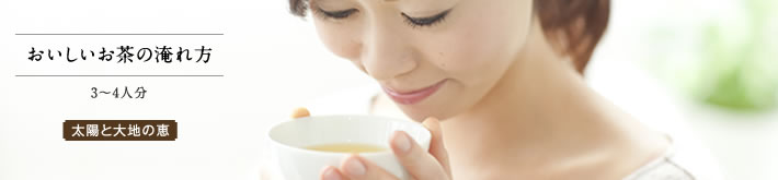 �������������̟�����i���z�Ƒ�n�̌b�݁j